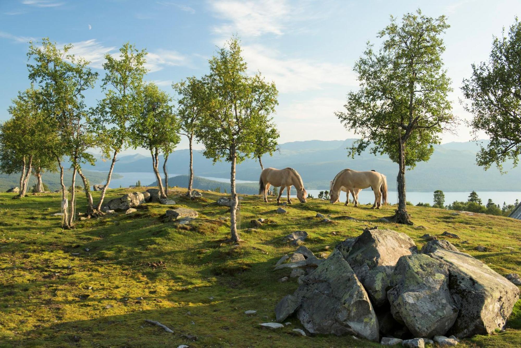 Langedrag Naturpark As Tunhovd Esterno foto